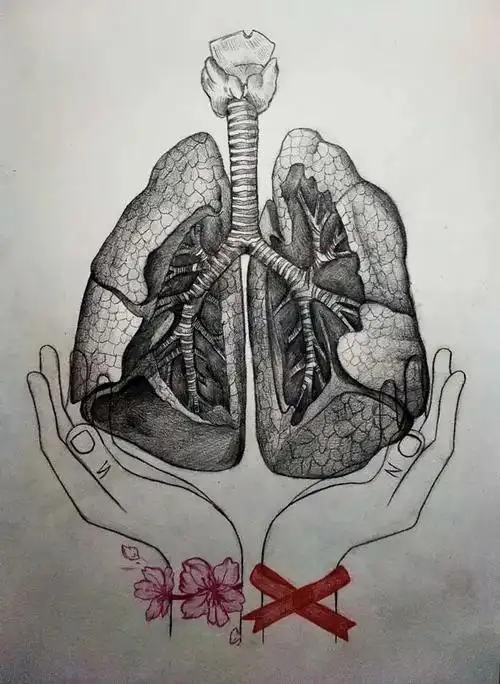 解剖绘图大赛丨妙笔生花!让医学生的画笔带你领略解剖之美(二)