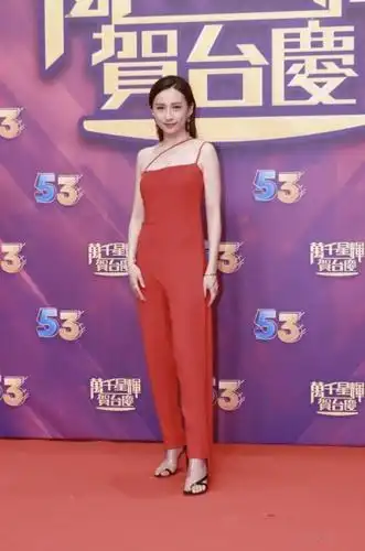 演dark angel导致周身伤患未愈 龚嘉欣接受物理治疗辞演《金宵大厦2》