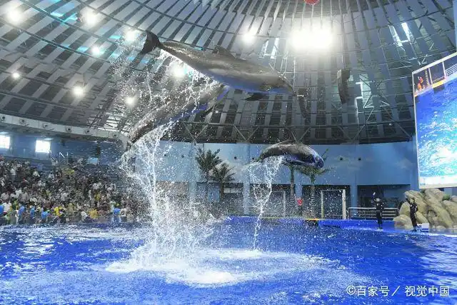 安徽阜阳大型海洋馆开门迎客