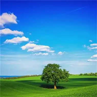 春意盎然的头像109张 唯美高清好看适合春天的头像图片_风景头像_头像