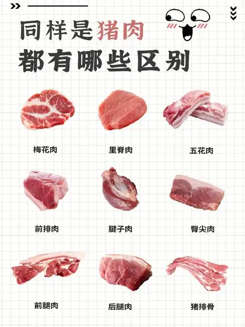 猪肉正确打开方式不同部位的肉有什么区别