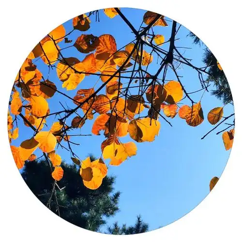 随手拍之圆形构图|摄影|手机|游街的无常 - 原创作品 - 站酷 (zcool)