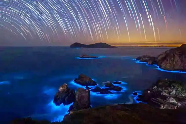 【已成行】璀璨星空,神秘蓝眼泪,渔山列岛拥抱湛蓝大海