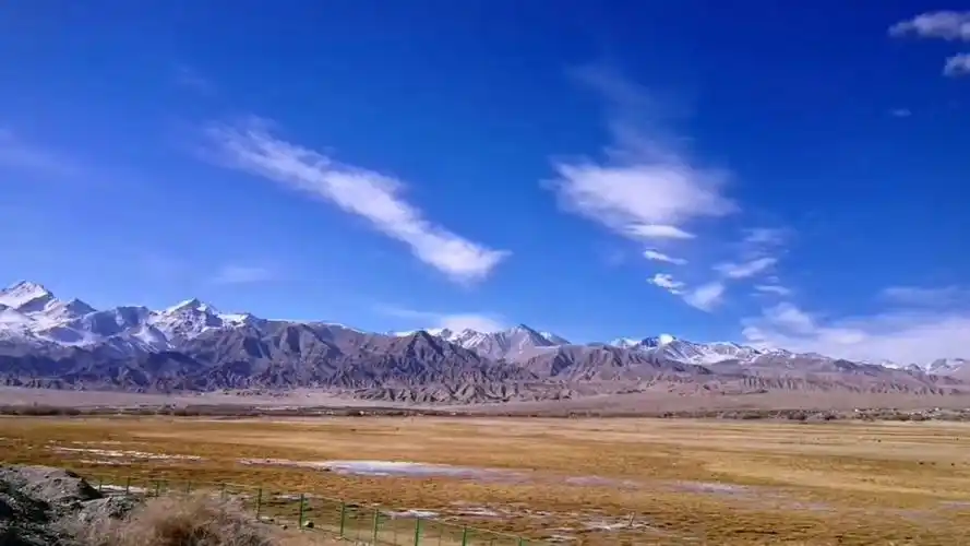 天地广阔,雪山巍峨,金色的牧场,成群的羊