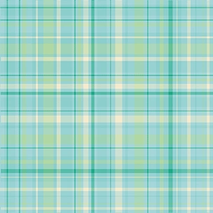 小清新jk蓝绿色斜纹格炳