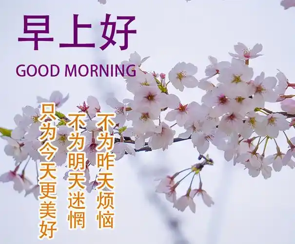 温馨祝福词句,2021年早上好带字祝福图片,早安朋友们