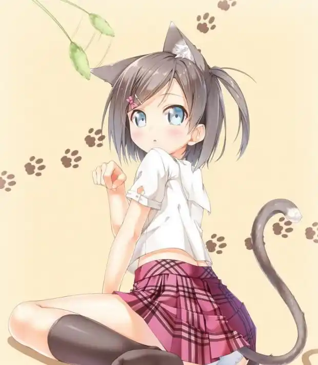 最动漫:二次元猫耳朵,你觉得"猫耳朵"好ci嘛?