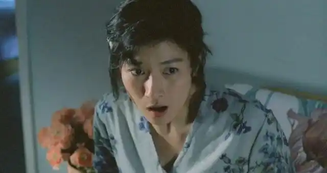 《回魂夜》红衣猛女谭淑梅,《鹿鼎记2》阿南,《精武英雄》小惠