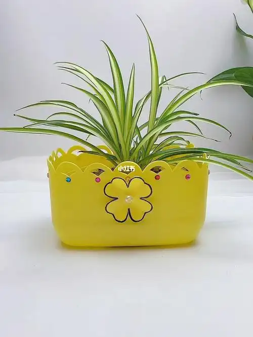 废旧洗洁精瓶子可以改造成花盆或收纳盒,简单又好看,快一起造起来吧