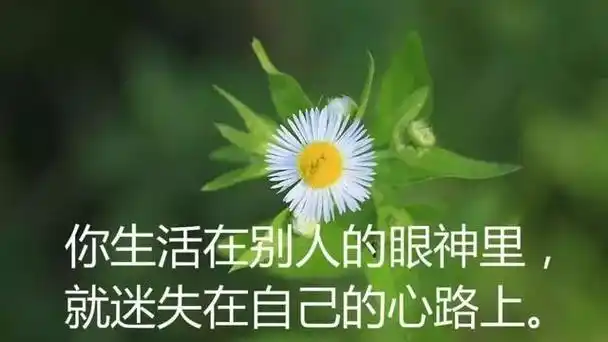 一句话感悟人生的句子(朋友圈感悟人生的一句话经典说说)图1