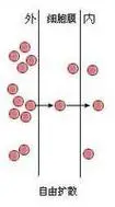 p>自由 a href="#">扩散 /a>(simple diffusion),生物学名词,是物质