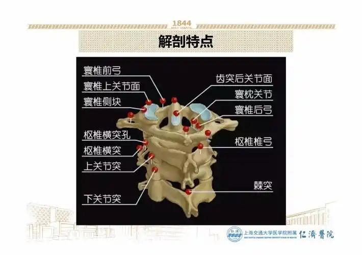 颈椎第一横突病变引起头面部疼痛
