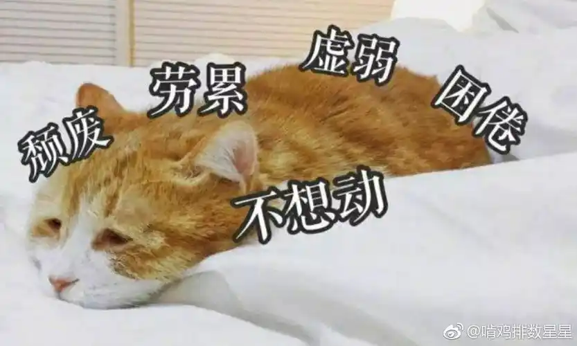 大脑疲惫和身体疲惫哪个更痛苦?