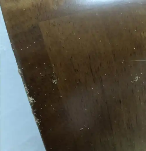 床上有这种小虫子,是木头原因还是床垫原因?床垫是棕垫