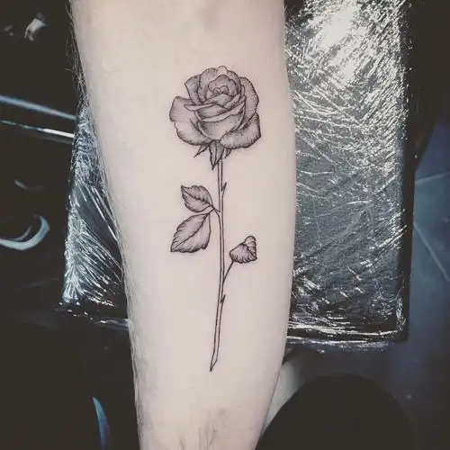 做幼教的刁先生手臂玫瑰纹身图案
