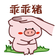 一只乖猪猪