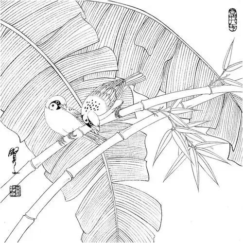 你想要的工笔花鸟白描线稿都在这了