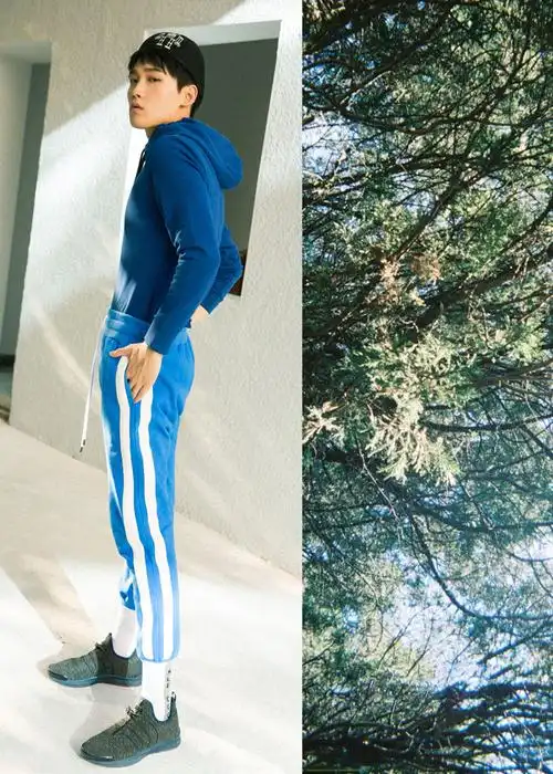 邢昭林百变小生帅气写真高清图片