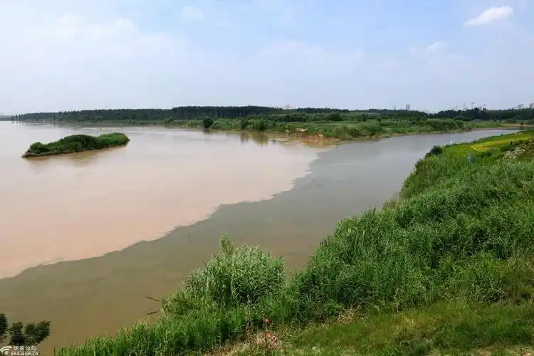 泾渭分明,互不相融 - 2020年夏至的渭河,泾河交汇处-全民乱拍-华商