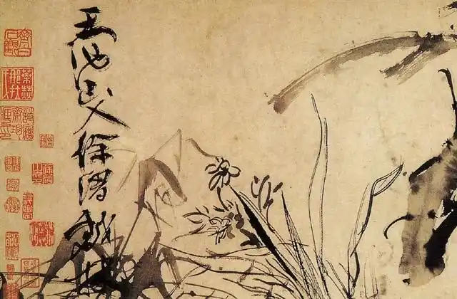 徐渭《梅花图》局部