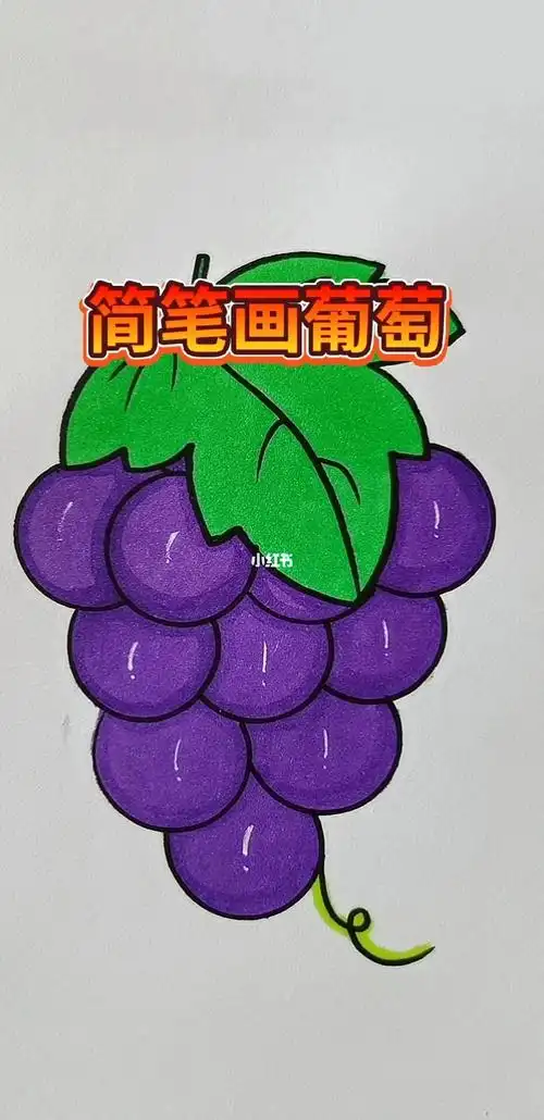 简笔画葡萄