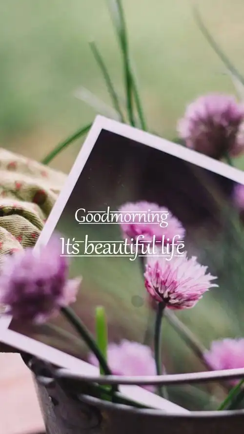 唯美早安英文字母锁屏