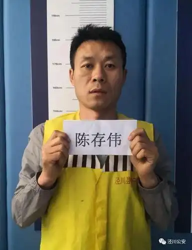 犯罪嫌疑人陈存伟照片