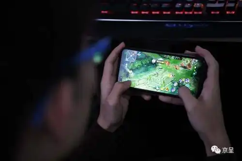 00后大学生纵横电竞江湖十多年夺冠之后这样谈未来