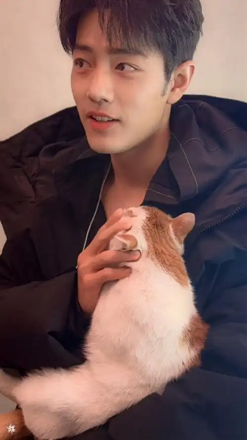 肖战新年vlog生活气息拉满##肖战藏海##肖战藏海传