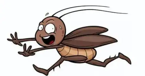 九成人都不清楚蟑螂的"天敌"是啥:房间中放个它,蟑螂"全消散"了