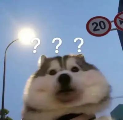狗狗表情包 ? 来自双下巴的问号脸