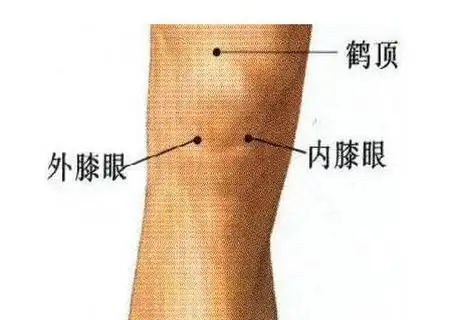 膝眼穴在膝头骨下两旁陷者宛宛中.