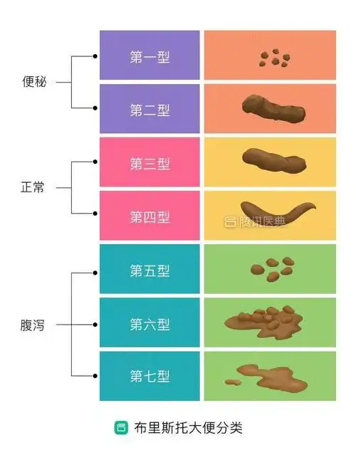 快对照这7种看一下,你的便便正常吗?