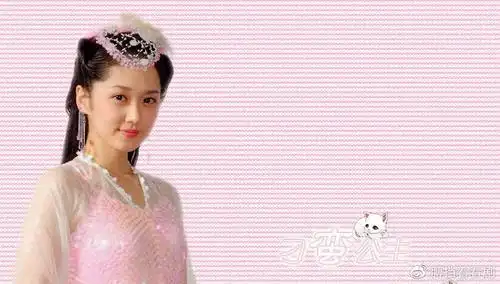 与苏有朋合作出演了《刁蛮公主》,从此在中国走红,张娜拉在剧中饰演"