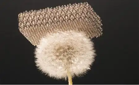 全面认识世界上最轻的固体:气凝胶