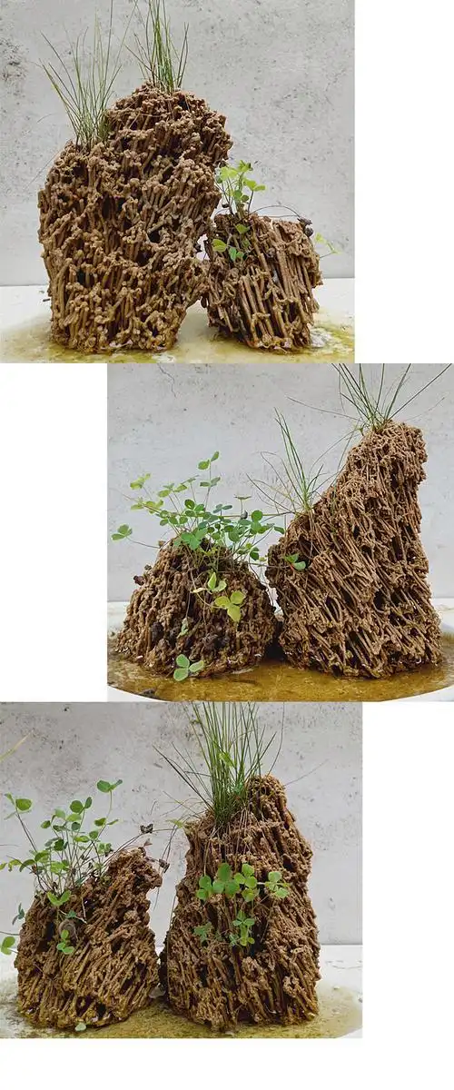 微小型天然麦管石原石上水石吸水石假山盆景鱼缸造景桌面摆件 一个大