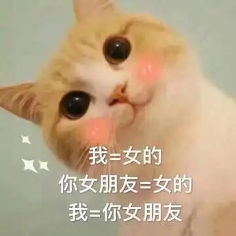 我=女的,你女朋友=女的,我=你女朋友 - 那就这样说好啦,我就是你女