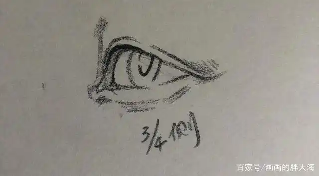 3/4侧面的眼睛结构