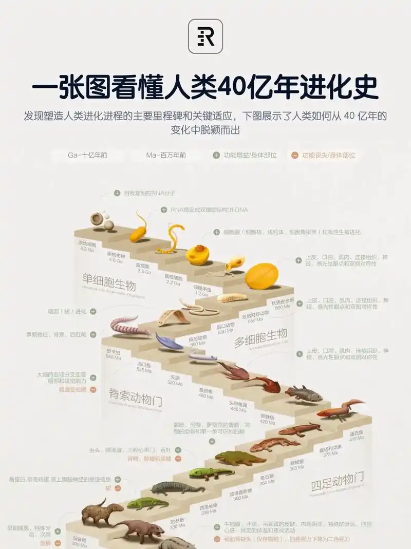生物学进化论:一张图看懂人类40亿年.人类进化的未来:随着人 - 抖音