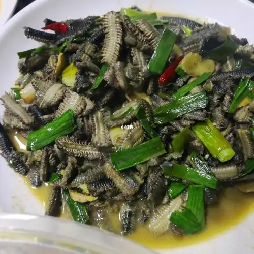 海蜈蚣和皮皮虾的晚餐