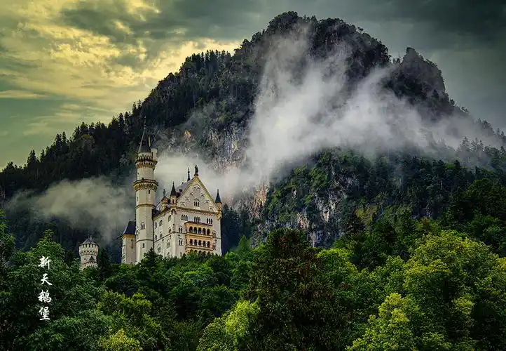 中国优秀摄影师作品展,(第十四期)