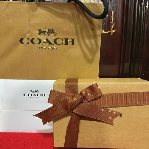 coach马车款腰带78