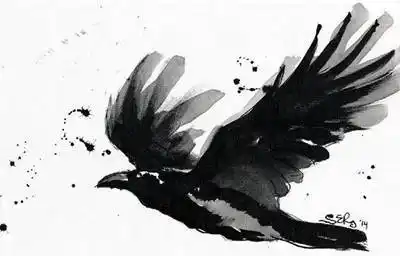 24张水墨乌鸦纹身手稿图案