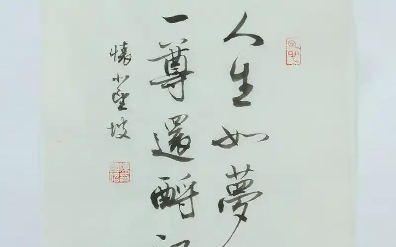 毛笔行书跟陈国昭学小品创作人生如梦一尊还酹江月