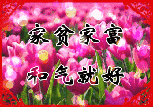 500_350gif 动态图 动图