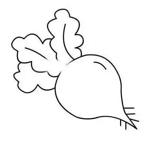 大红萝卜手绘简笔画