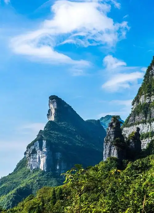 重庆金佛山,东方的阿尔卑斯山!