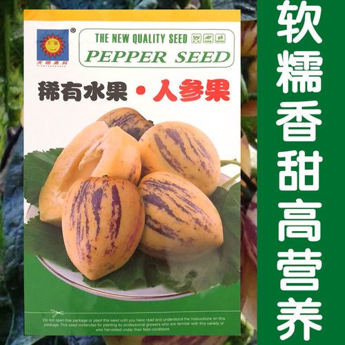 人参果种子四季播长寿果种籽特色水果种子四心室黄心高产大面积