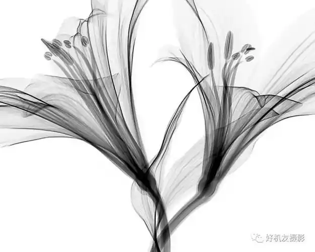 这也从一个侧面证明了,高调画面在自然风光拍摄上有很大潜力可挖.