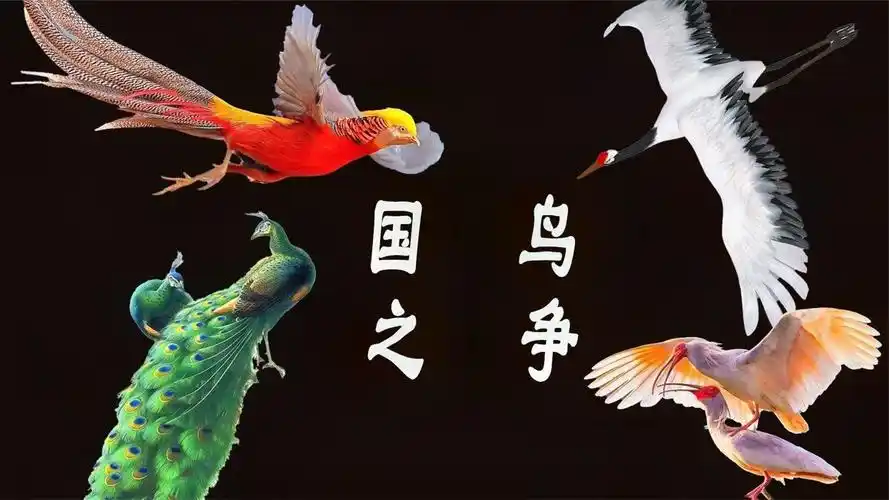的动物2003年,国家林业局和中国野生动物保护协会启动了国鸟评选活动